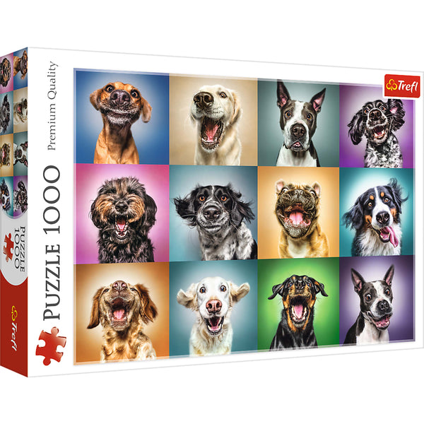 Dogs