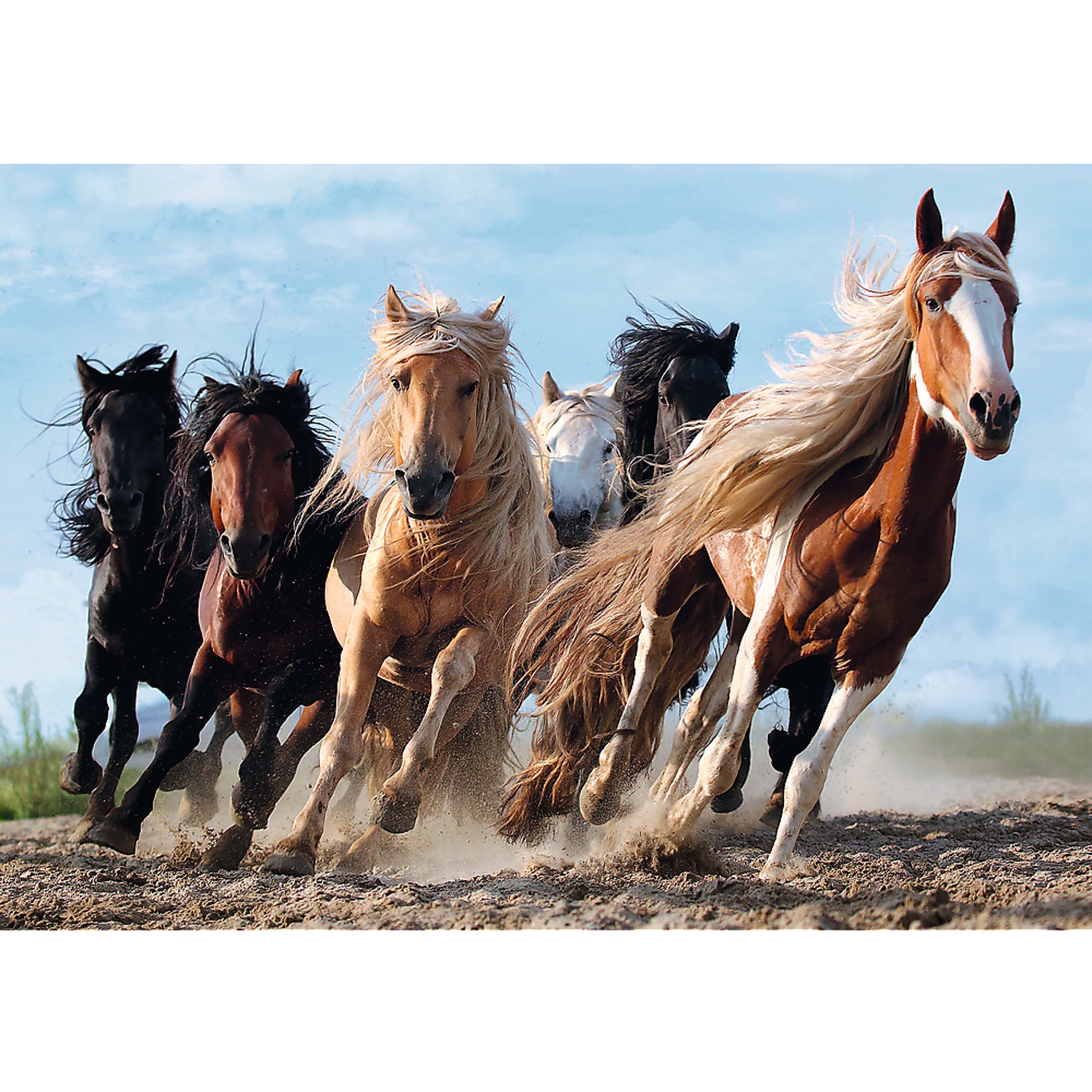 Trefl Red 1000 Piece Puzzle - Galloping horses