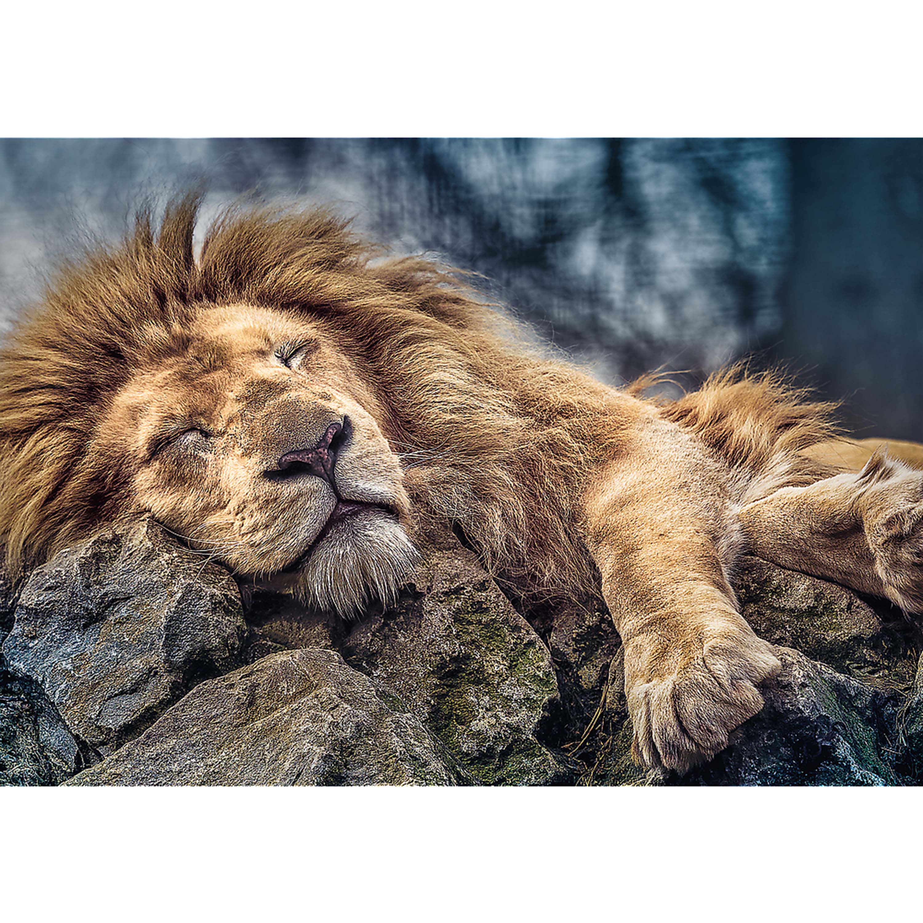 Trefl Red 1000 Piece Puzzle - Sleeping lion