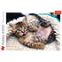 Trefl Red 1000 Piece Puzzle - Cheerful kitten