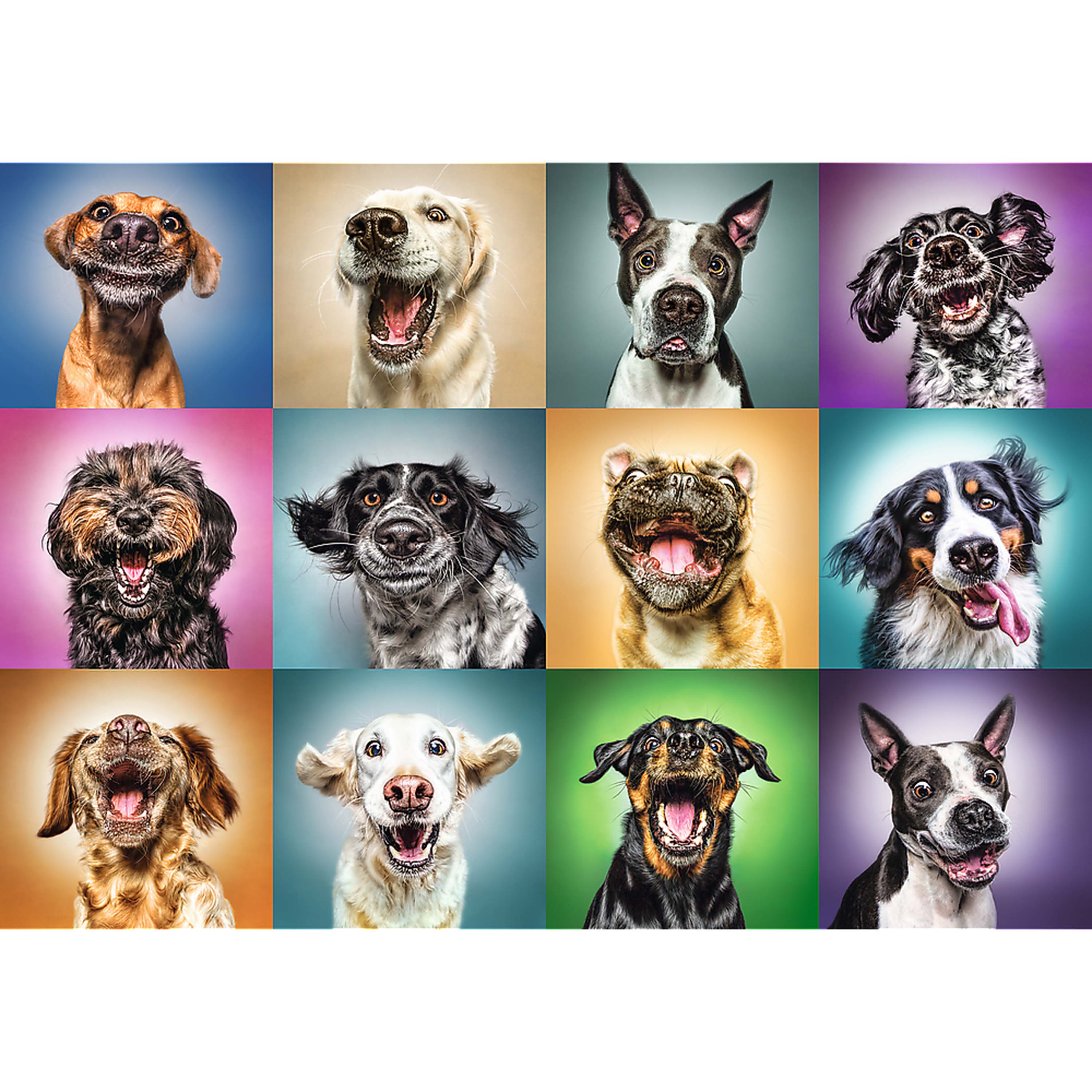 Trefl Red 1000 Piece Puzzle - Funny dog portraits