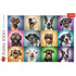 Trefl Red 1000 Piece Puzzle - Funny dog portraits