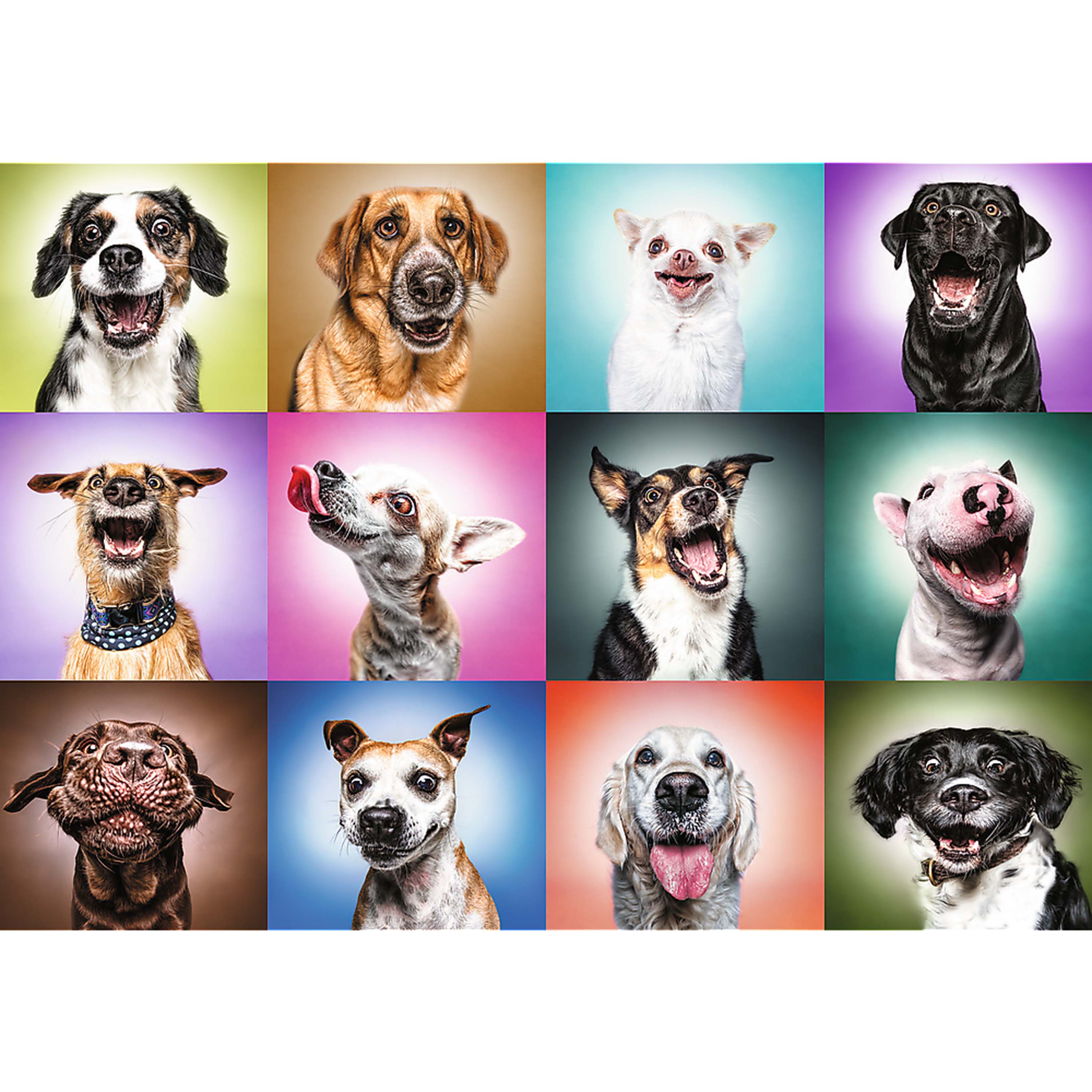 Trefl Prime 1000 Piece Puzzle - Funny Dogs Faces