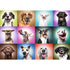 Trefl Prime 1000 Piece Puzzle - Funny Dogs Faces