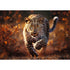 Trefl Premium Plus 1000 Piece Puzzle - Wild Leopard