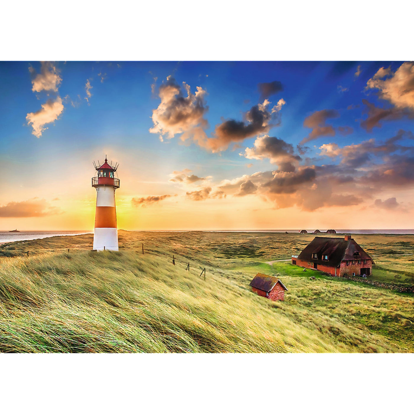 Trefl Premium Plus List-Ost Lighthouse, Germany 1000 Piece Puzzle