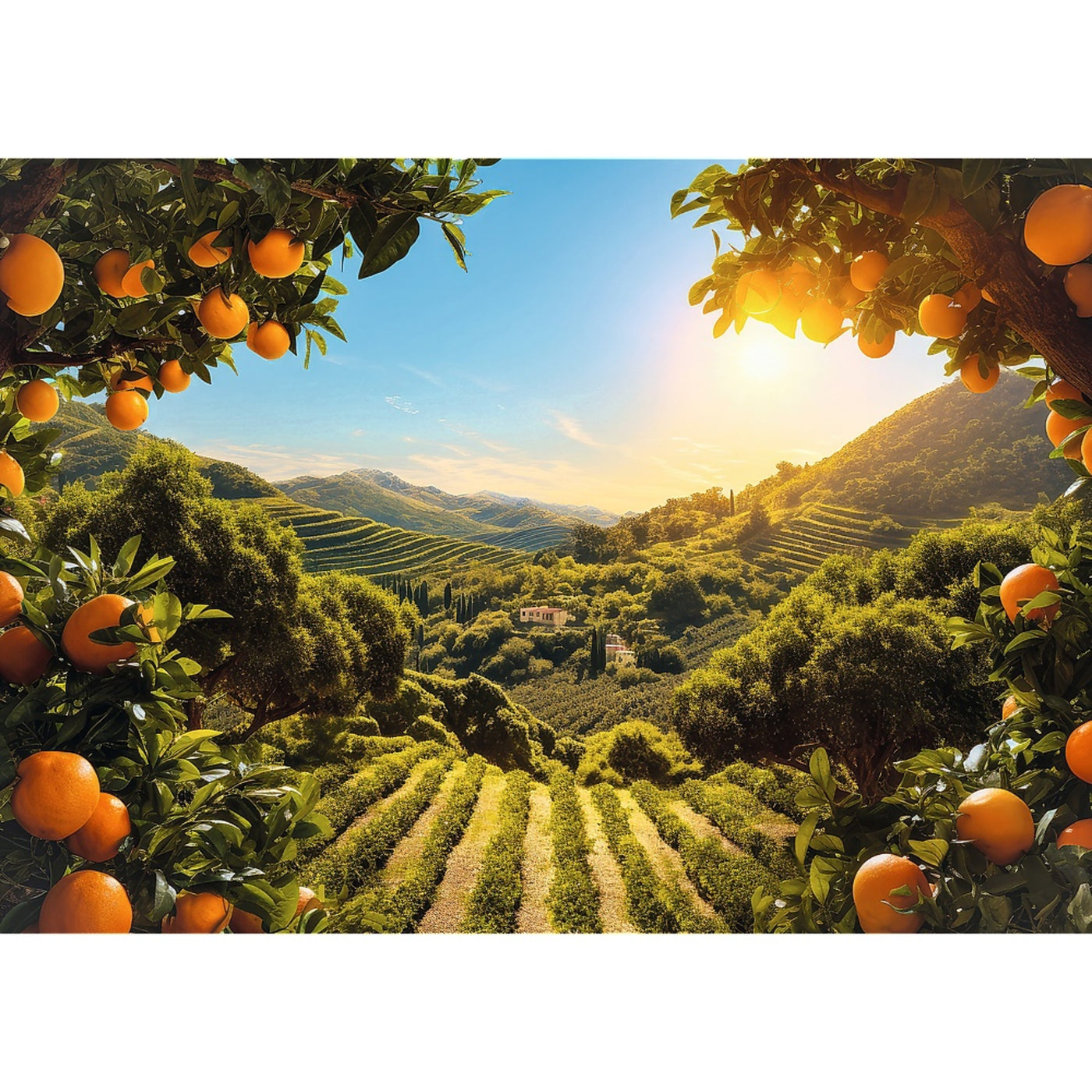 Trefl Red Sunsets: Mountain Orange Grove 1000 Piece Puzzle