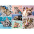 Trefl Red 100 Piece Kids Puzzle - In the cat world