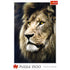 Trefl Red 1500 Piece Puzzle - Lions portrait