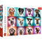 Trefl Red 2000 Piece Puzzle - Funny dog portraits II
