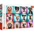 Trefl Red 2000 Piece Puzzle - Funny dog portraits II