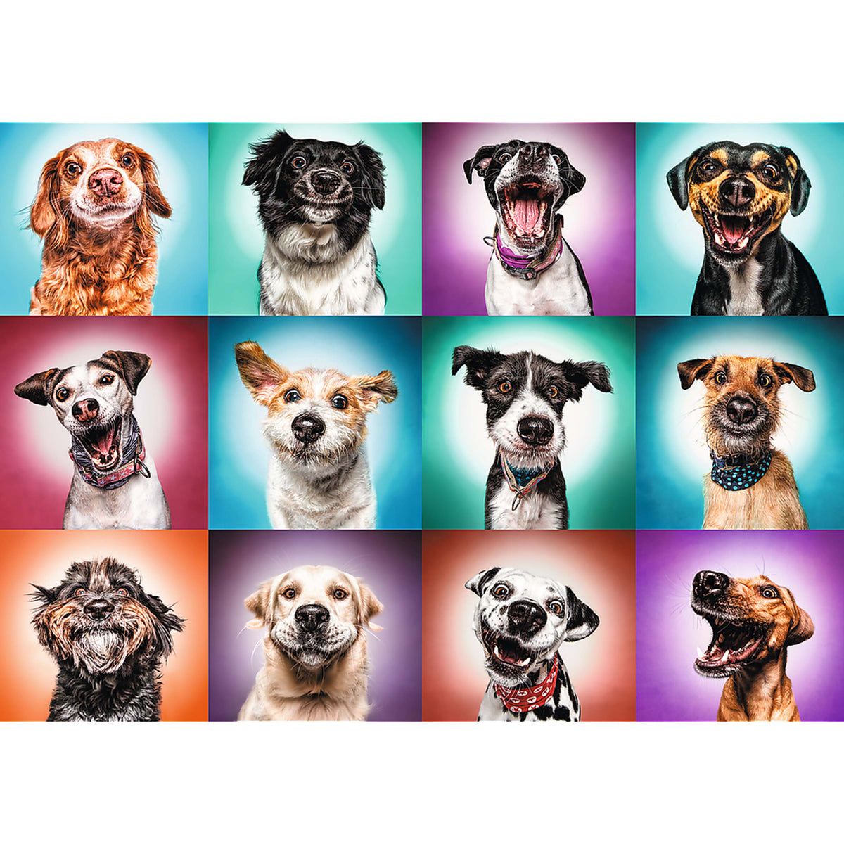 Trefl Red Funny Dog Portraits II 2000 Piece Puzzle