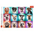 Trefl Red 2000 Piece Puzzle - Funny dog portraits II