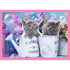 Trefl Preschool 4 in 1 Puzzle - Fun Cats