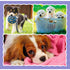 Trefl Preschool 3 in 1 Puzzle - Lovely Dogs