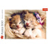 Trefl Red 500 Piece Jigsaw Puzzle - Sleeping Kittens