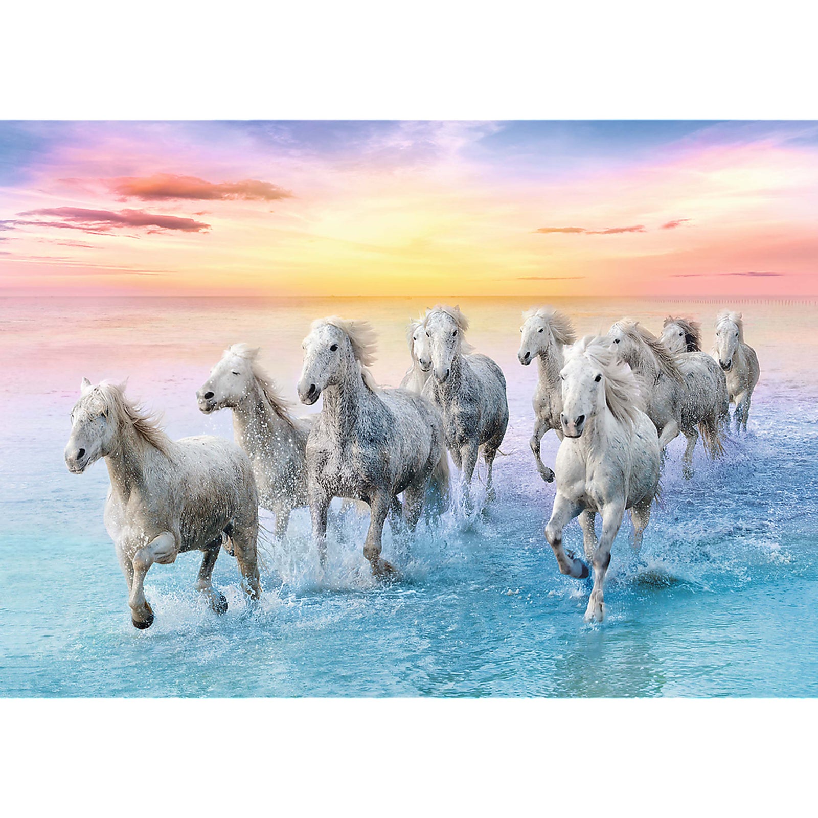 Trefl Red 500 Piece Puzzle - Galloping white horses