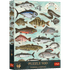 Trefl Premium Plus Finders Keepers Fish 500