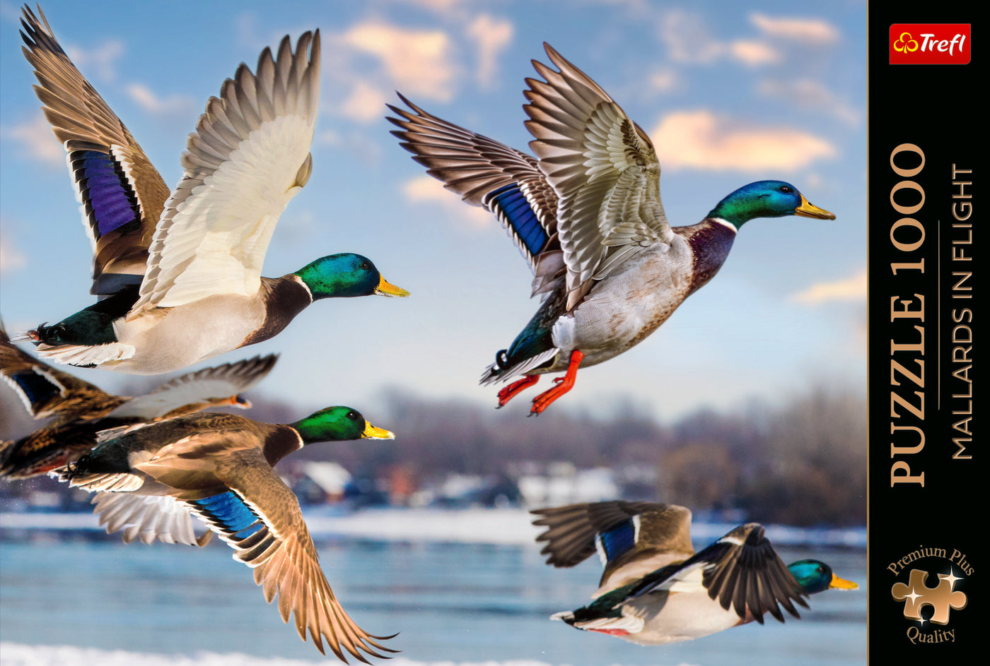 Trefl Premium Plus Mallards in Flight 1000 Piece Puzzle