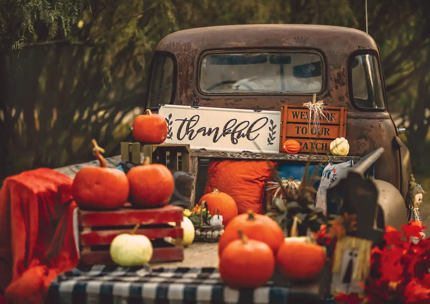 Trefl Fall Harvest 1000 Piece Puzzle