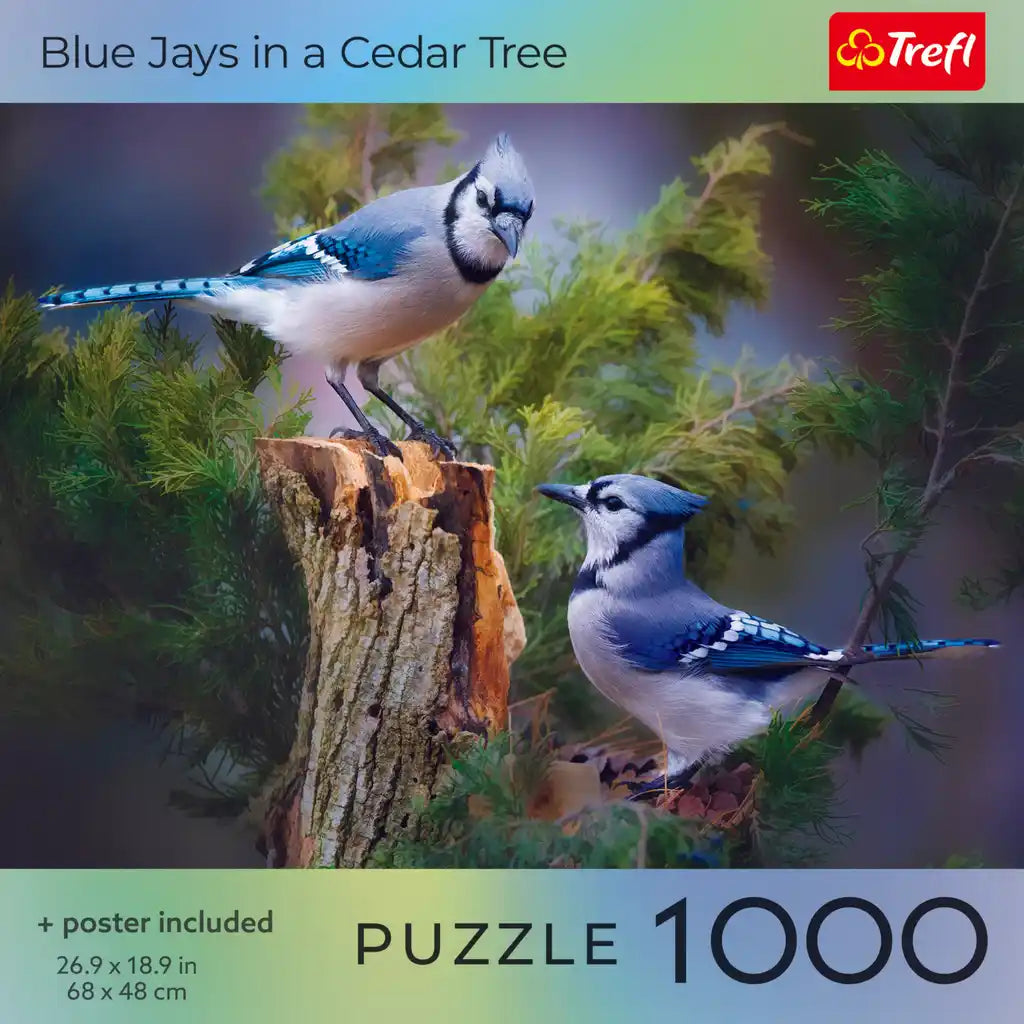 Trefl Bird Lovers: Blue Jays in a Cedar Tree 1000 Piece Puzzle