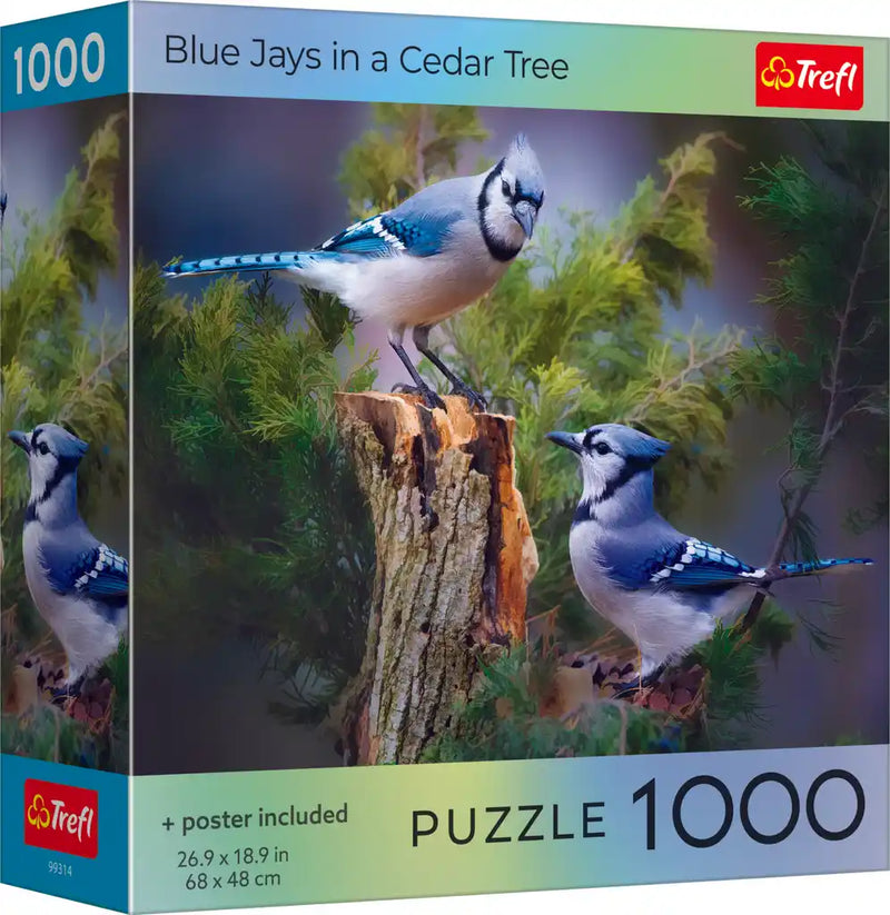 Trefl Bird Lovers: Blue Jays in a Cedar Tree 1000 Piece Puzzle