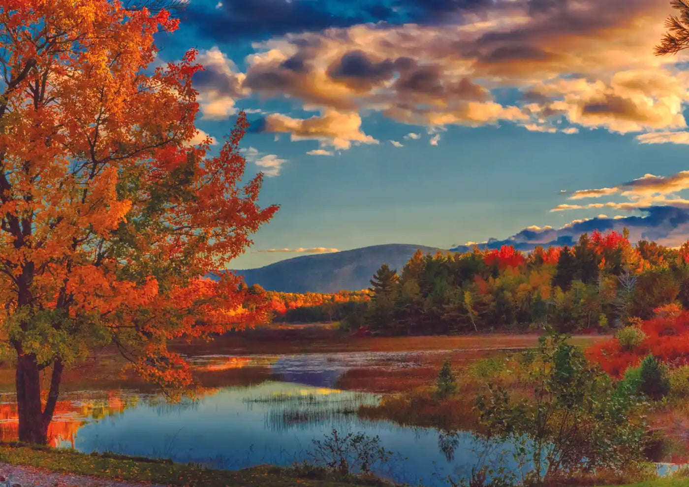 Trefl Fall in Acadia National Park 1000 Piece Puzzle