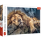 Trefl Red 1000 Piece Puzzle - Sleeping lion