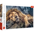 Trefl Red 1000 Piece Puzzle - Sleeping lion