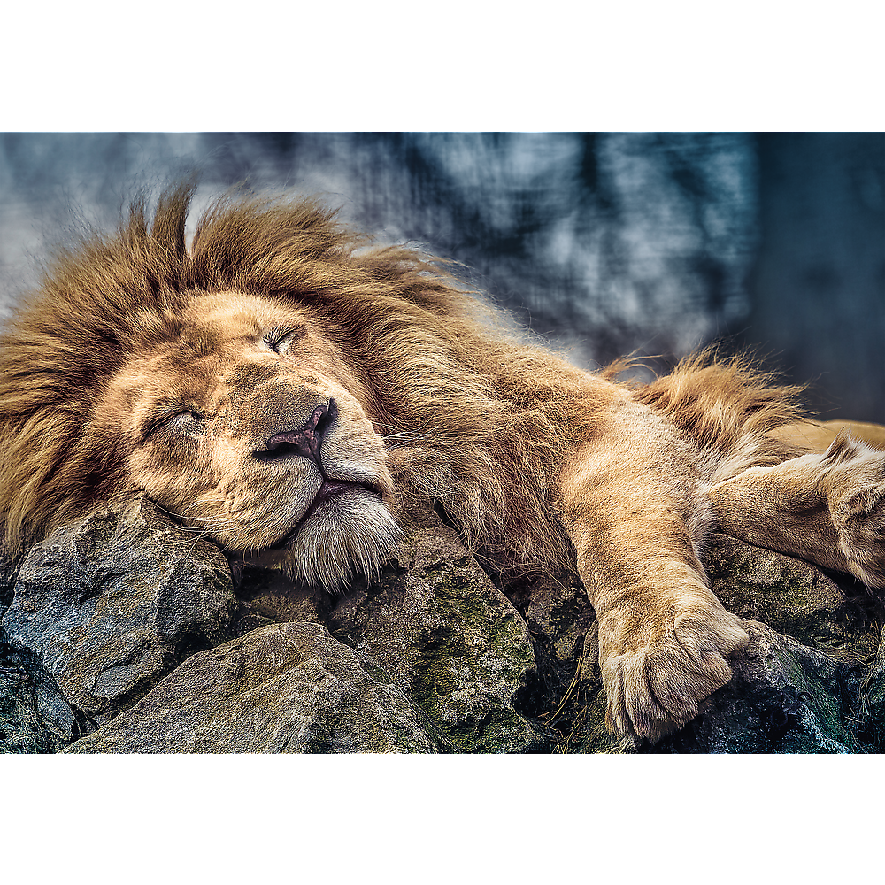 Trefl Red 1000 Piece Puzzle - Sleeping lion