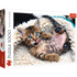 Trefl Red 1000 Piece Puzzle - Cheerful kitten