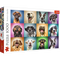 Trefl Red 1000 Piece Puzzle - Funny dog portraits