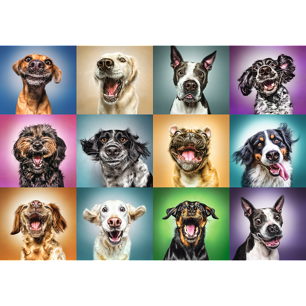 Trefl Red 1000 Piece Puzzle - Funny dog portraits
