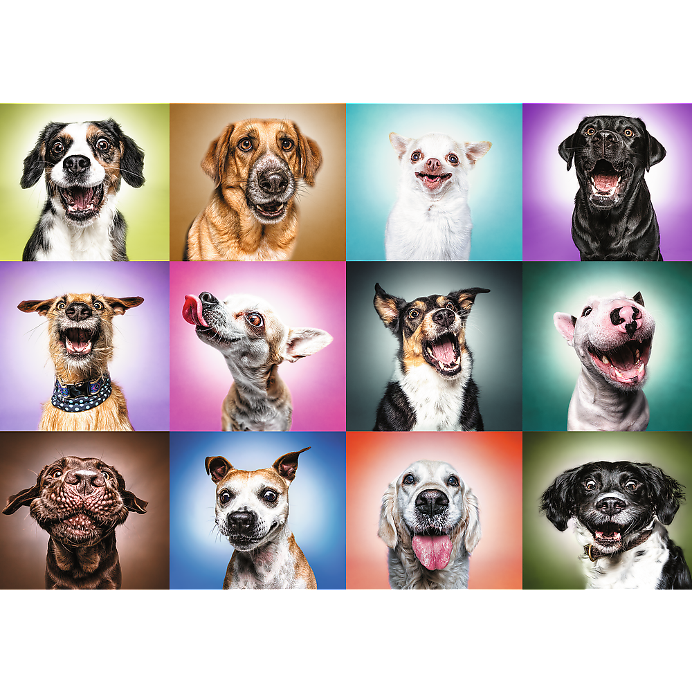 Trefl Prime 1000 Piece Puzzle - Funny Dogs Faces