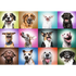 Trefl Prime 1000 Piece Puzzle - Funny Dogs Faces