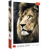 Trefl Red 1500 Piece Puzzle - Lions portrait