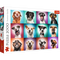 Trefl Red 2000 Piece Puzzle - Funny dog portraits II