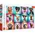 Trefl Red 2000 Piece Puzzle - Funny dog portraits II