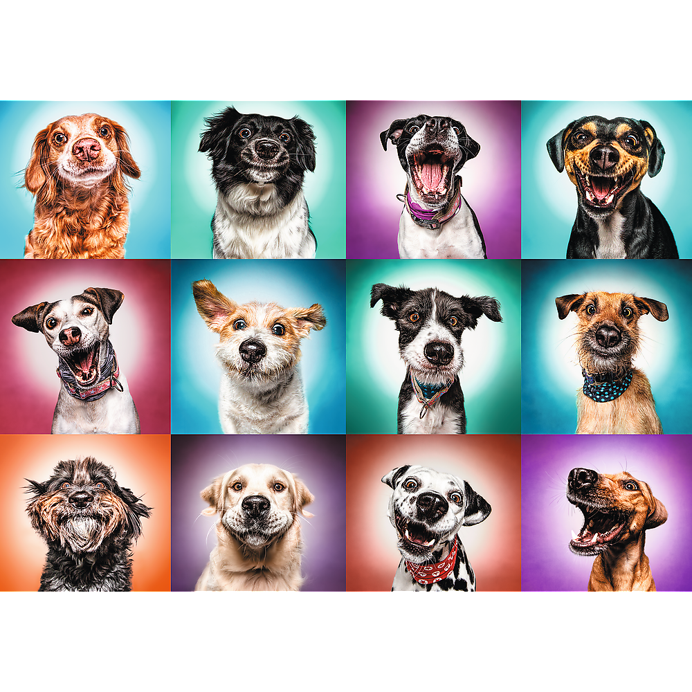 Trefl Red 2000 Piece Puzzle - Funny dog portraits II