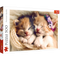 Trefl Red 500 Piece Jigsaw Puzzle - Sleeping Kittens