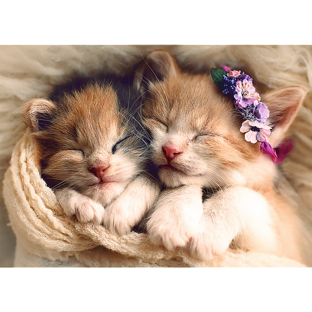 Trefl Red 500 Piece Jigsaw Puzzle - Sleeping Kittens