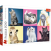 Trefl Red 500 Piece Puzzle - Kittens