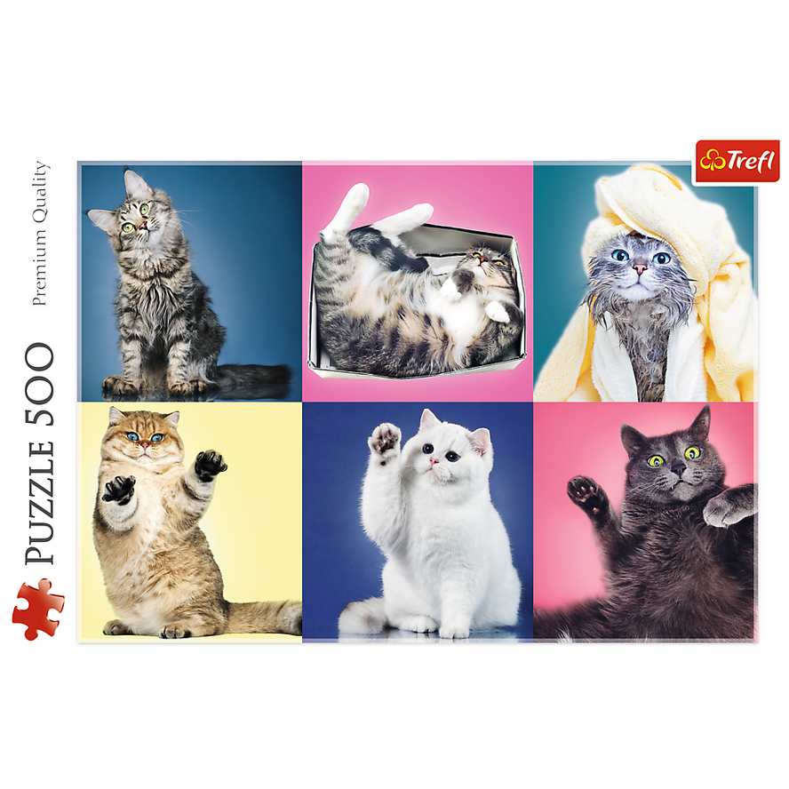 Trefl Red 500 Piece Puzzle - Kittens