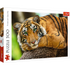 Trefl Red 500 Piece Puzzle - Tiger portrait